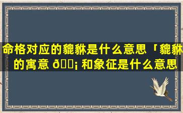 命格对应的貔貅是什么意思「貔貅的寓意 🐡 和象征是什么意思 🐎 」